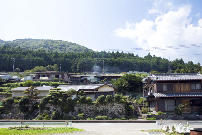 d0147530_4565235.jpg