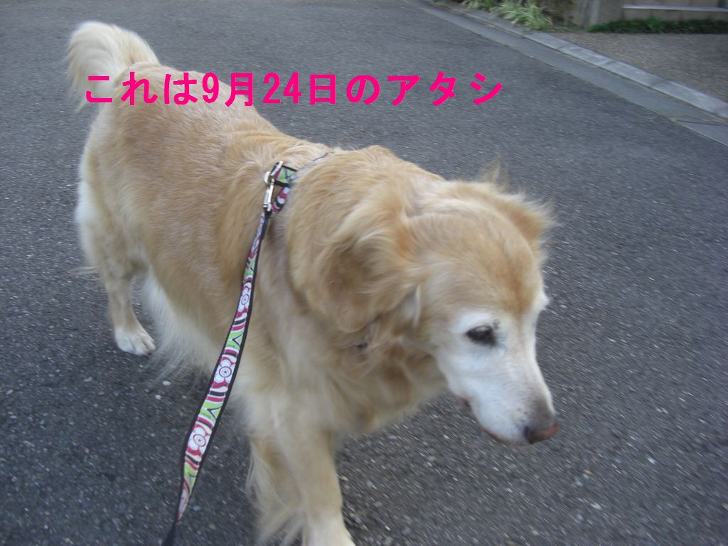 e0142430_2113146.jpg