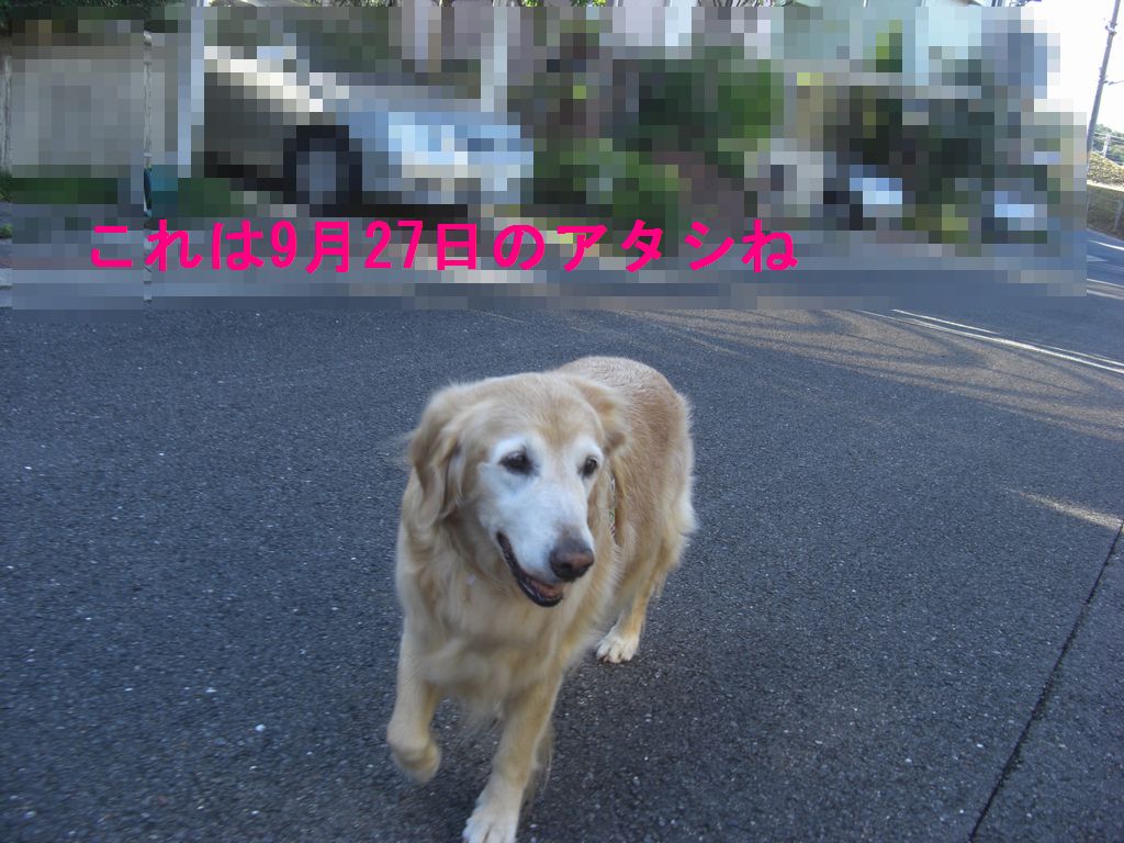 e0142430_2113427.jpg
