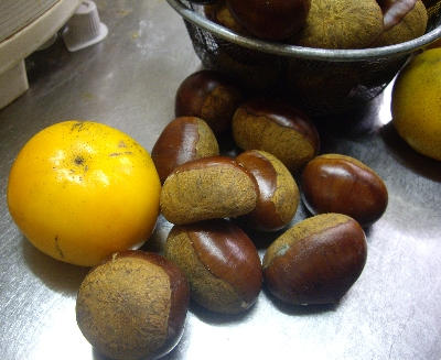 f0040734_2120524.jpg
