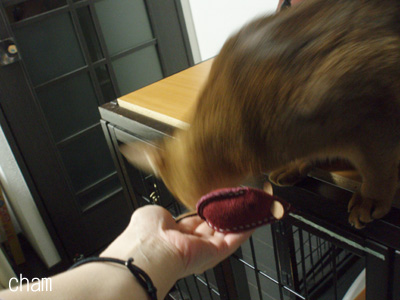 c0132438_22181152.jpg