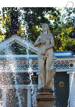 c0015041_19373822.jpg