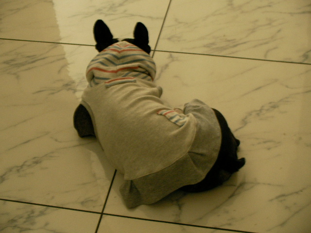 e0098547_4391750.jpg
