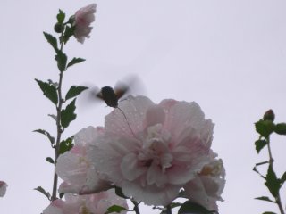 a0008549_022327.jpg