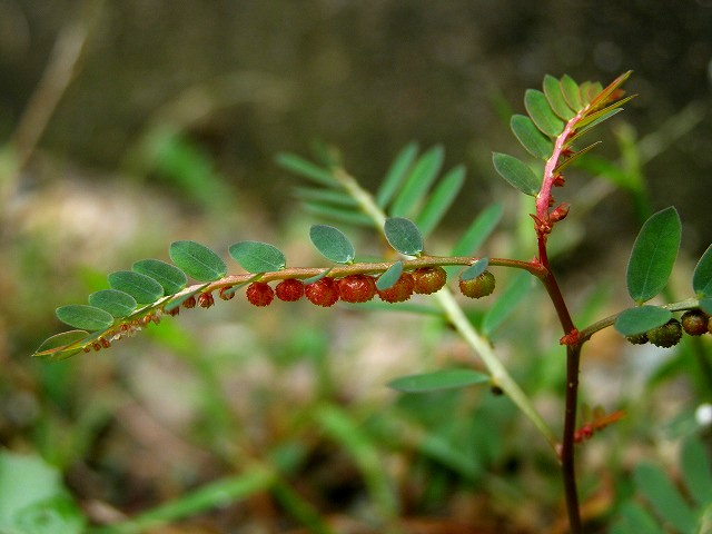 a0018655_21485740.jpg