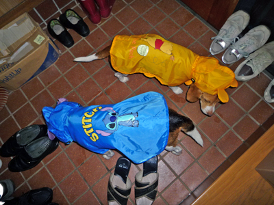 b0045357_14253472.jpg