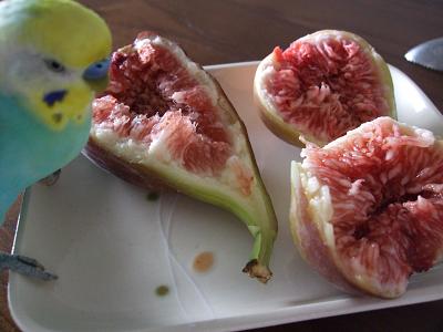 f0149057_0113450.jpg