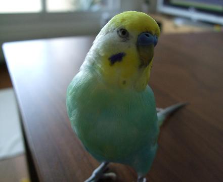 f0149057_0404350.jpg