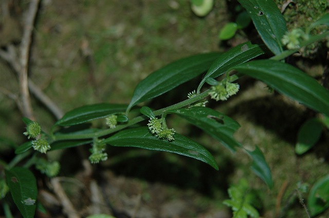 b0104861_19555431.jpg