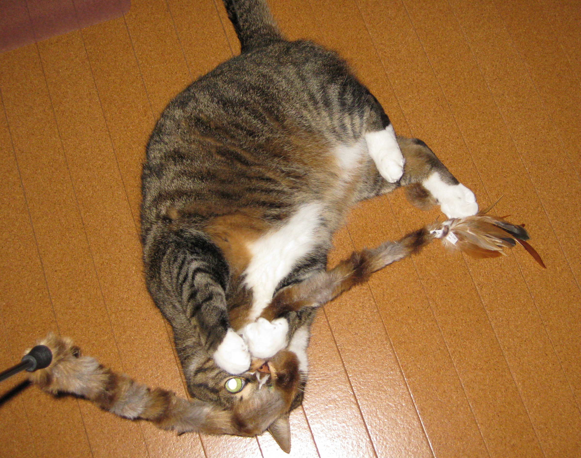 c0148165_22325666.jpg