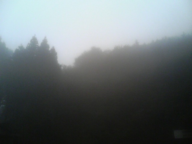 f0131165_23333967.jpg
