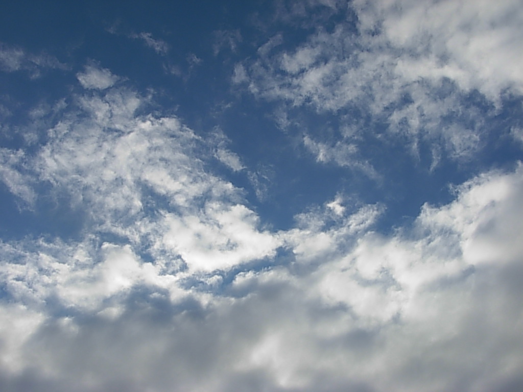 d0048366_16491078.jpg