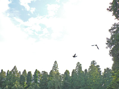f0086169_19565598.jpg