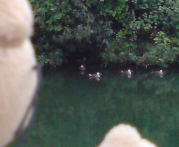 c0158573_6503295.jpg