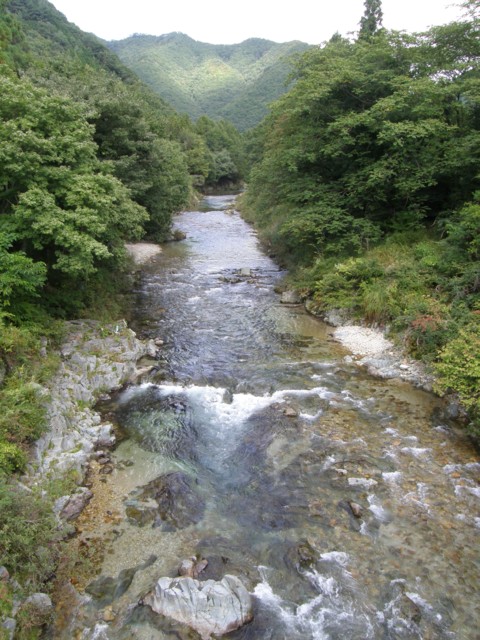 d0134473_1514567.jpg