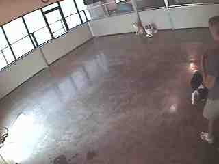 d0145173_13162857.jpg