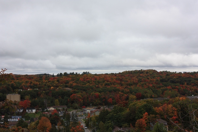 a0100975_1275396.jpg