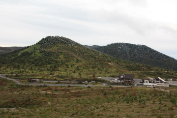 f0155381_12312728.jpg