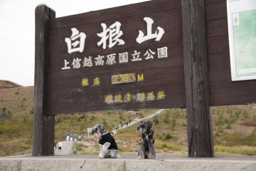 f0155381_1293872.jpg
