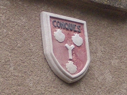 d0142394_1939023.jpg