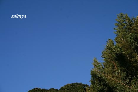 e0122194_22164033.jpg
