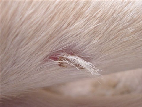 e0046305_14201327.jpg