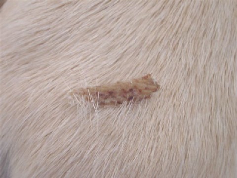 e0046305_14244024.jpg