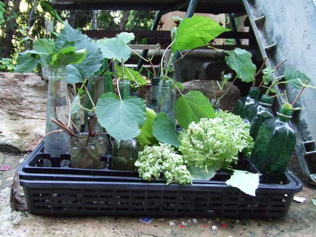 f0188408_12414730.jpg