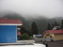 b0008217_21584123.jpg