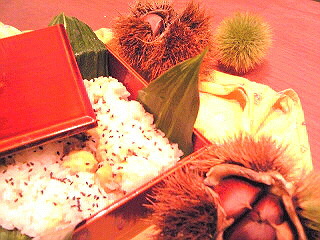 a0052621_0221922.jpg
