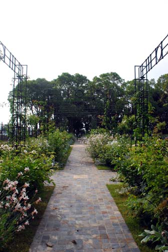 c0059521_21535816.jpg