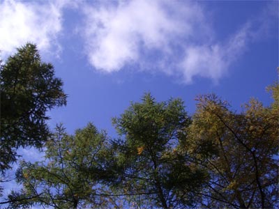 b0034422_2064324.jpg