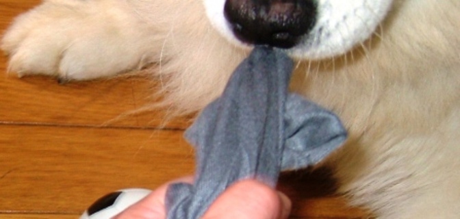 e0024126_2052815.jpg