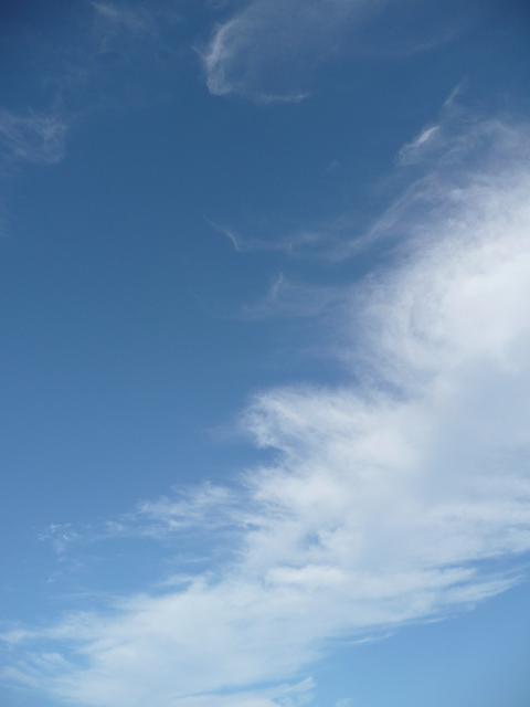 f0178427_22372636.jpg