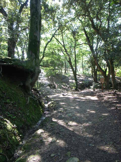 d0105133_20142079.jpg