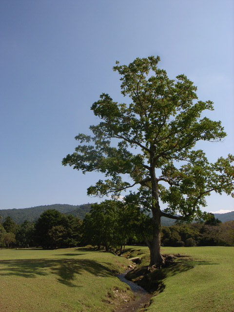 d0105133_2025689.jpg