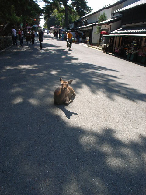d0105133_2033174.jpg