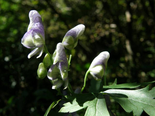 e0145033_19363452.jpg