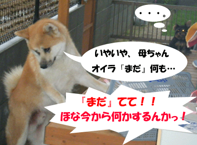 f0008935_403418.gif