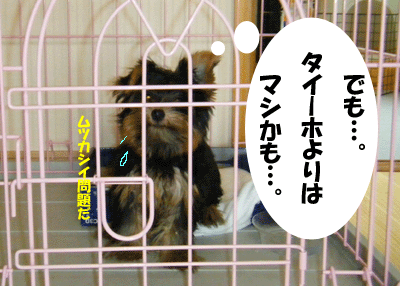f0008935_405230.gif