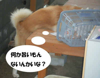 f0008935_40729.gif