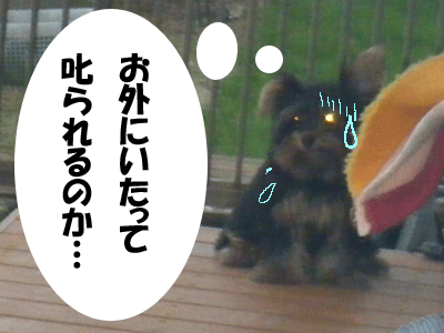 f0008935_5165132.gif