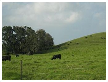 c0148238_0273982.jpg
