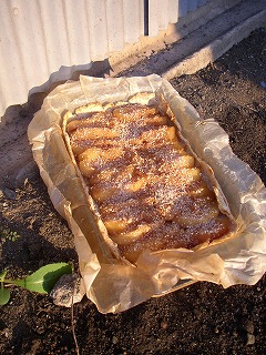 a0068350_1021043.jpg
