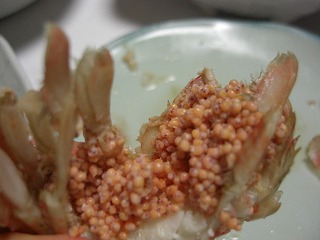 f0009451_912761.jpg