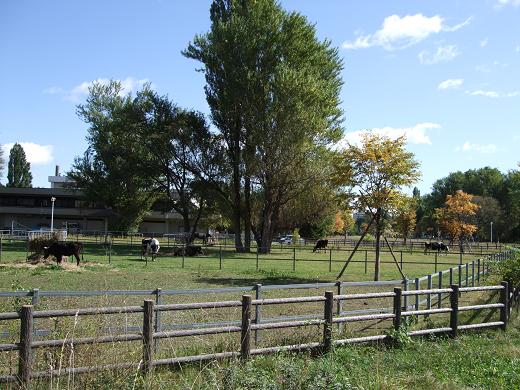 f0149057_23474584.jpg