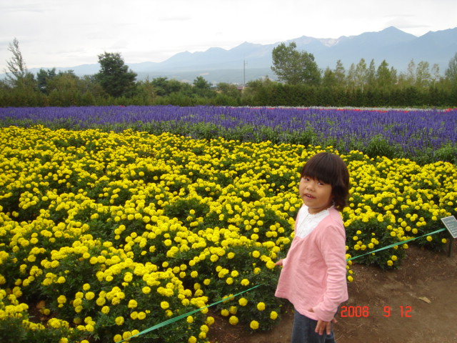 d0065459_2575127.jpg