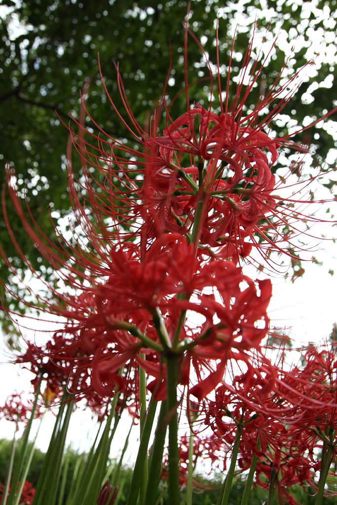 d0148060_2124451.jpg