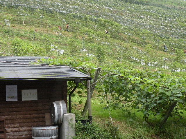 f0168760_15303874.jpg
