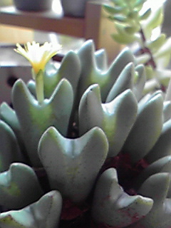 c0144868_9534512.jpg